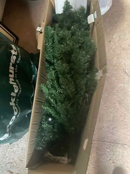 Photo of free 6ft Christmas tree (Minehead) #1