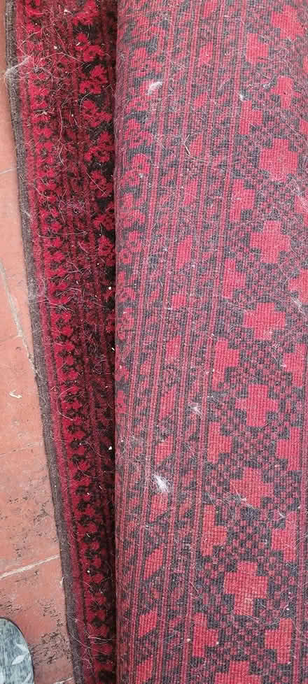 Photo of free Really large rug (Knighton) #2