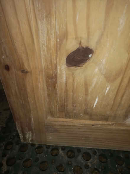 Photo of free Solid pine door (Bussage GL6) #4