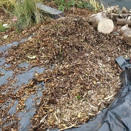Photo of free wood chips for paths / composting (near Addenbrookes, CB1) #1