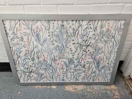 Photo of free Large frame (EX8) #1