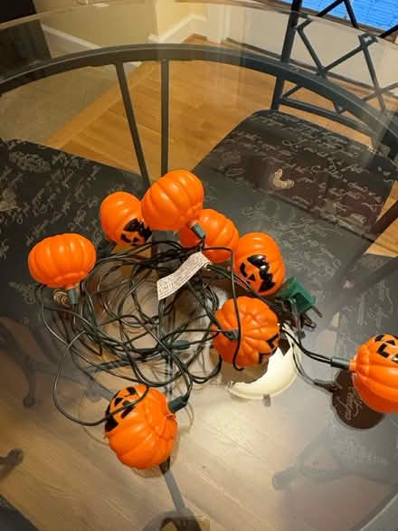 Photo of free Halloween is coming (Columbia MD) #2