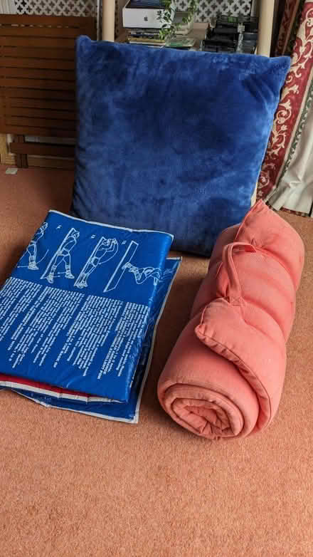 Photo of free Exercise & roll out mats & cushion (Cranleigh) #1