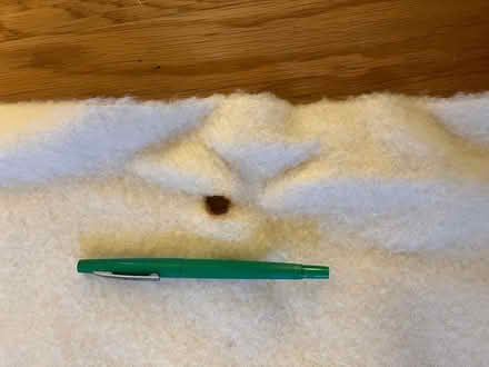 Photo of free Hudsons Bay wool blanket, queensize (Newton Center) #3