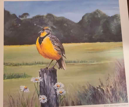 Photo of free Wolf Creek Printery Calendar Prints (River Falls, Potomac) #2