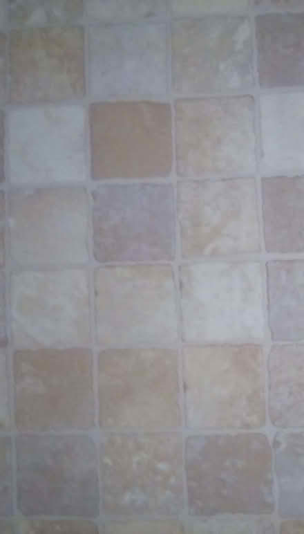 Photo of free Cushionfloor flooring (Priorslee TF2) #2