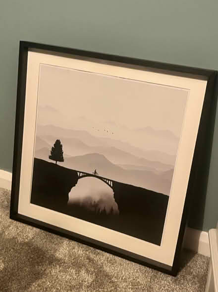 Photo of free Whole Picture and Frame (Ballyhackamore) #1