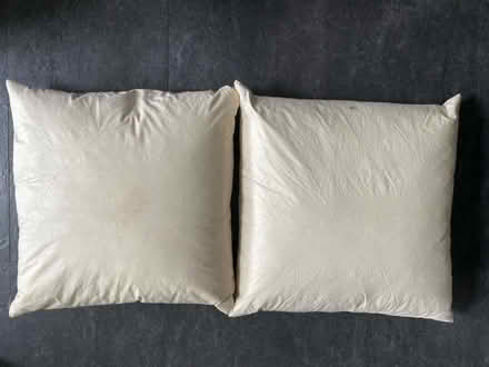 Photo of free Large Cushion Pads (Bathwick) #1
