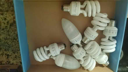 Photo of free various compact bulbs (kemp park) #1