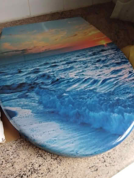 Photo of free Toilet Seat (Shrewsbury) #3