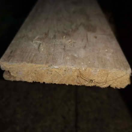 Photo of free Antique pine floorboard (Bussage GL6) #2