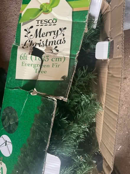 Photo of free 6ft Christmas tree (Minehead) #2