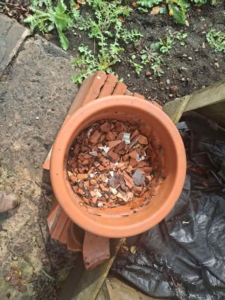 Photo of free For gardeners.... crock bits for pot drainage (Hollywood B47) #1