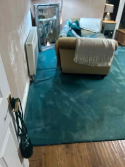 Photo of free Rug 3.2m by 5m (Merstham RH1) #3