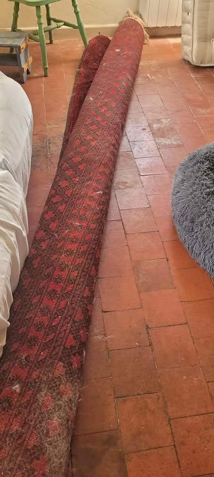 Photo of free Really large rug (Knighton) #1