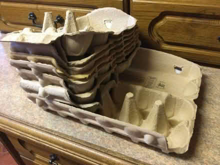 Photo of free Egg boxes (Goring-by-Sea BN12) #1