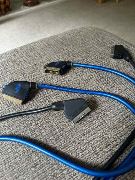 Photo of free Two scart leads (Harborne Birmingham) #1