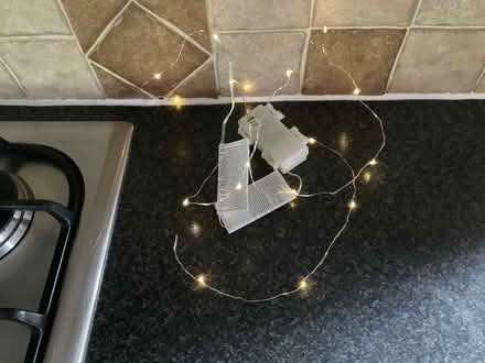 Photo of free Fairy lights (Worlds End Burgess Hill) #1