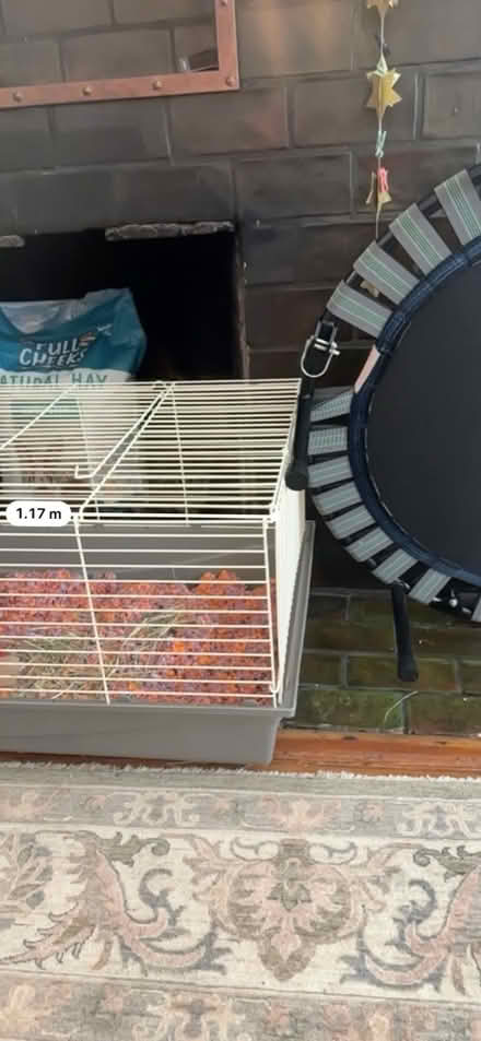 Photo of free guinea pig cage & supplies (Adams Morgan) #3