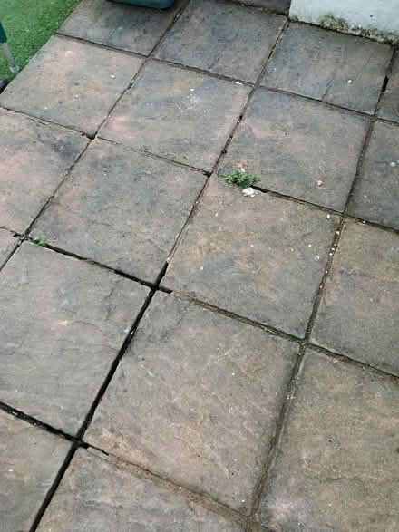 Photo of free Paving Stones (Barrow-in-Furness LA14) #1
