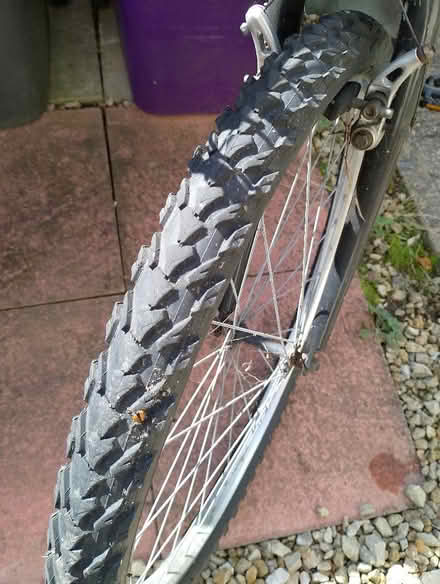 Photo of free Mens bike (Letchworth SG6) #3