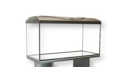 Photo of Large capacity fish tank (Llanddewi LD1) #1