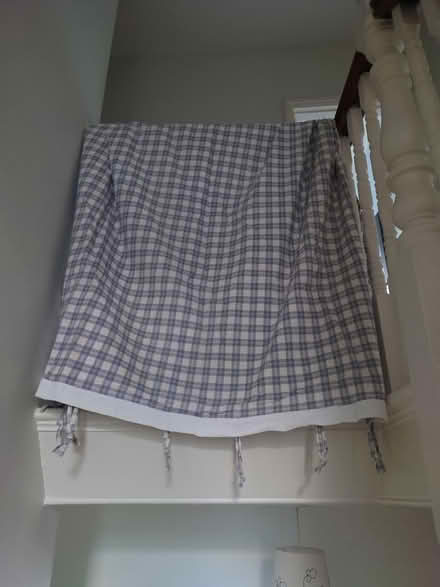 Photo of free Blue and White check curtains (Harringay N4) #2