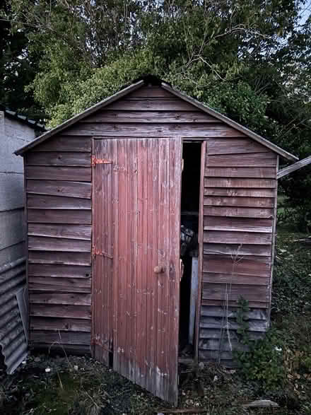 Photo of free Garden shed with windows (Chelsfield BR6) #1