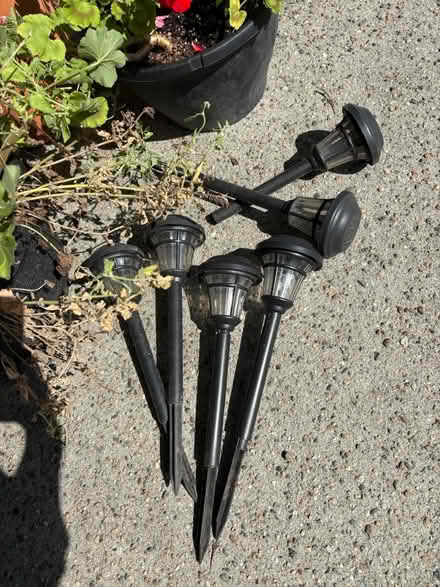 Photo of free 6 solar lights (Roxbury) #1