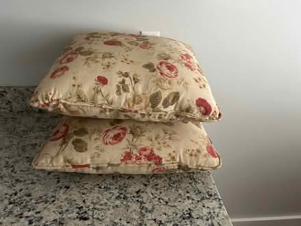 Photo of free Shabby rose couch not the cat (East haven ct) #2
