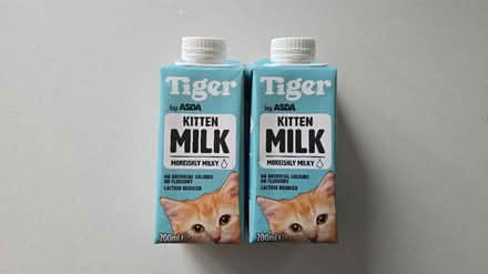 Photo of free 2 Kitten milk bottles (Streetly B74) #1