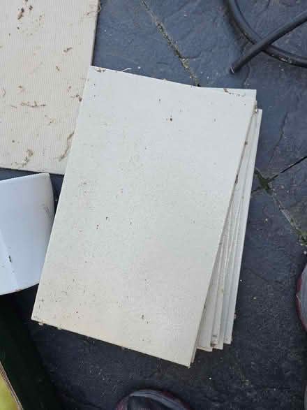 Photo of free 12 light beige tiles. 31.5cm x 20 cm (Malvern WR14) #1