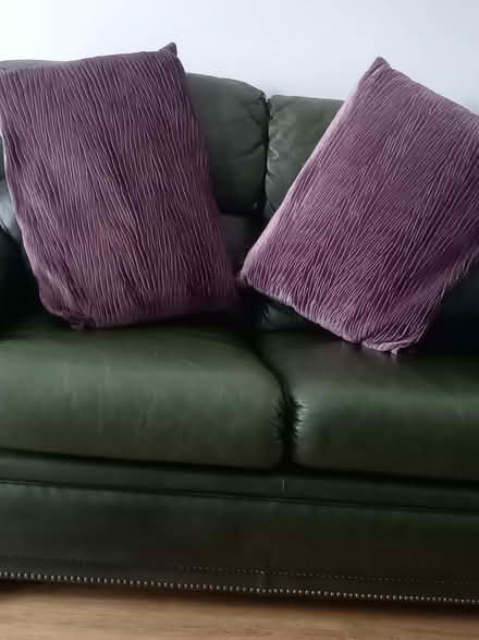 Photo of free Two rectangular cushions (Dairy Lane Estate DH4) #1