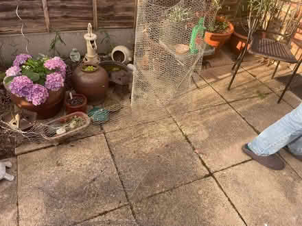Photo of free Chicken wire (Clapham, Bedford) #1