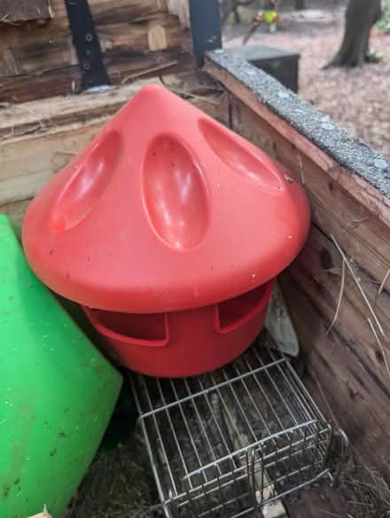 Photo of free Chicken feeders (Kirklees HD9) #2