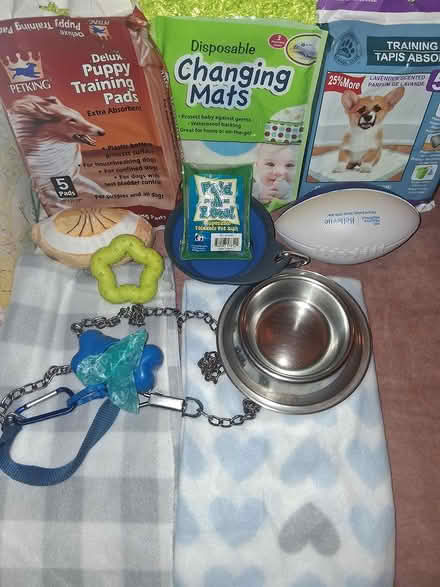 Photo of free Last Chance-Various Small Dog Items (Upper Bronx NE/Lower Yonkers) #1