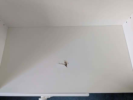 Photo of free Children's drawers (Shrub End CO3) #3