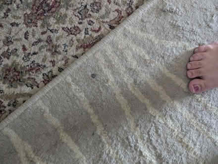 Photo of free Area rug (Leedom, Ridley park) #4