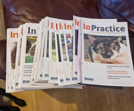 Photo of free Old Veterinary Magazines (SY11) #2