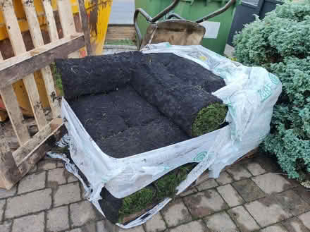 Photo of free Turf (Cassiobury WD17) #1