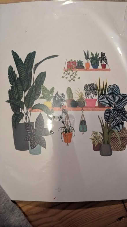 Photo of free A4 card print of plants! (Balsall Heath B12) #1