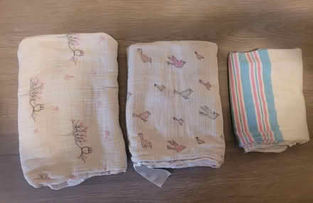 Photo of free Baby Girl Blankets and Clothing (Upper East Side) #2