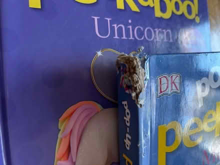 Photo of free Pop up books (Enfield EN2) #2