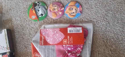 Photo of free Age 6 balloons. Paw patrol magnets (KT16 chertsey) #1