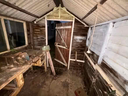 Photo of free Garden shed with windows (Chelsfield BR6) #3