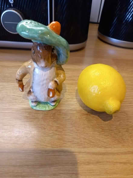 Photo of free Benjamin Bunny (Roundhill area brighton) #1