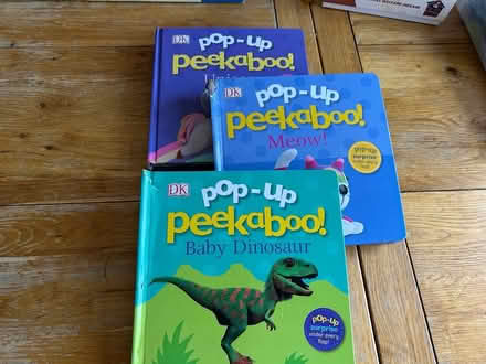 Photo of free Pop up books (Enfield EN2) #1