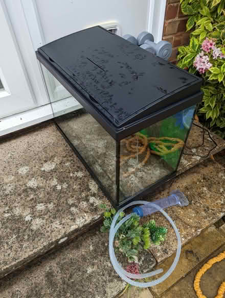 Photo of free Aquarium and supplies (Sompting BN15) #3