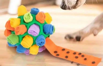 Photo of Snuffle ball (Clayton Green PR6) #1