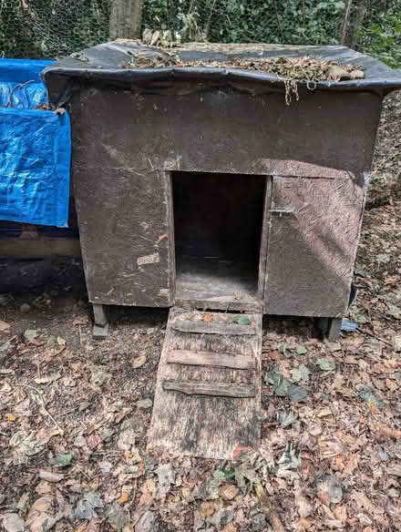Photo of free Chicken/duck coop (Kirklees HD9) #2